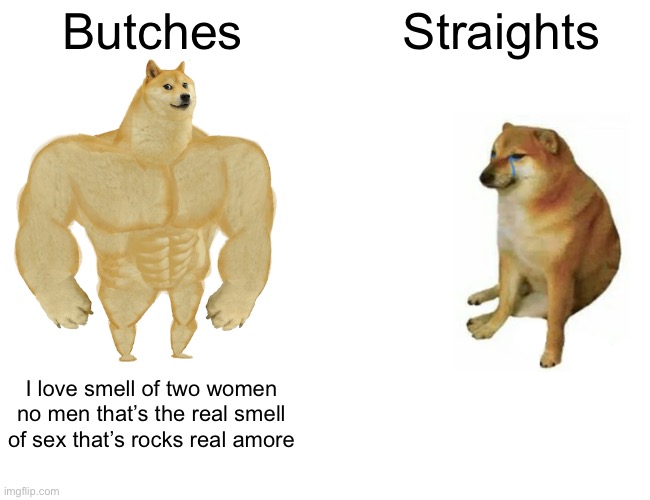 Buff Doge vs. Cheems Meme | Butches; Straights; I love smell of two women no men that’s the real smell of sex that’s rocks real amore | image tagged in memes,buff doge vs cheems,gay | made w/ Imgflip meme maker