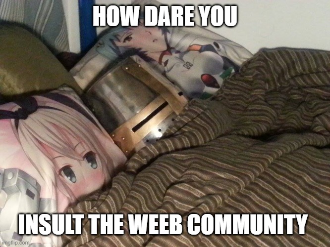 Weeb Crusader | HOW DARE YOU INSULT THE WEEB COMMUNITY | image tagged in weeb crusader | made w/ Imgflip meme maker