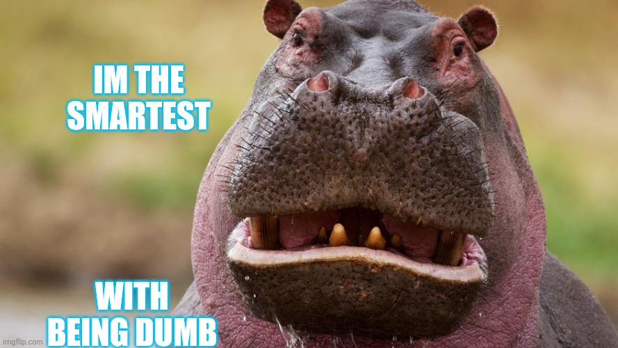 Eww | IM THE SMARTEST; WITH BEING DUMB | image tagged in eww | made w/ Imgflip meme maker