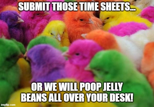 Easter | SUBMIT THOSE TIME SHEETS... OR WE WILL POOP JELLY BEANS ALL OVER YOUR DESK! | image tagged in easter | made w/ Imgflip meme maker