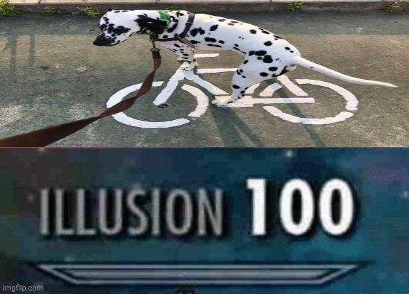 The dalmatian dog riding on a white bike optical illusion | image tagged in illusion 100,funny,memes,dogs,optical illusion,bike | made w/ Imgflip meme maker