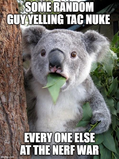oh no | SOME RANDOM GUY YELLING TAC NUKE; EVERY ONE ELSE AT THE NERF WAR | image tagged in memes,surprised koala | made w/ Imgflip meme maker