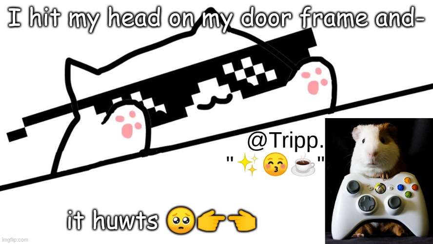 ;( | I hit my head on my door frame and-; it huwts 🥺👉👈 | image tagged in tripp 's very awesome temp d,sad | made w/ Imgflip meme maker