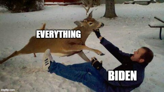 Each day Biden fails worse | EVERYTHING; BIDEN | image tagged in deer of failure,failure | made w/ Imgflip meme maker