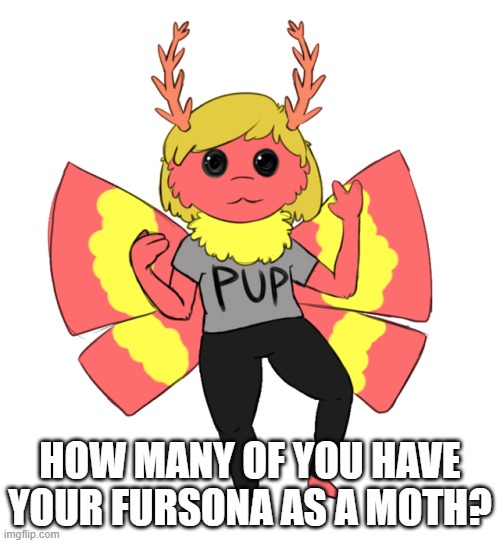 Not my art | HOW MANY OF YOU HAVE YOUR FURSONA AS A MOTH? | made w/ Imgflip meme maker
