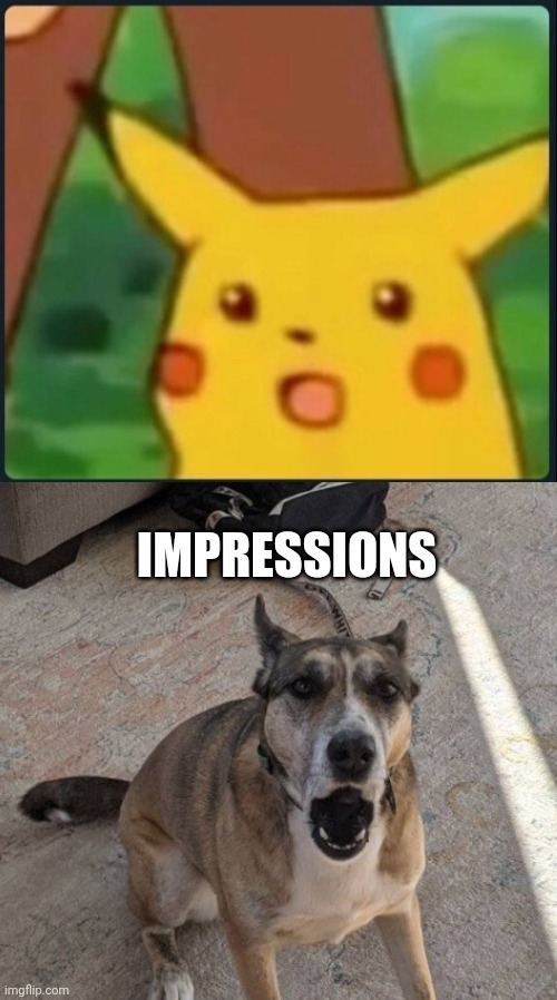 IMPRESSIONS | image tagged in surprised pikachu | made w/ Imgflip meme maker