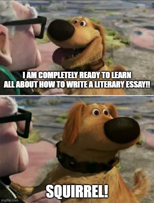 distracted by squirrel | I AM COMPLETELY READY TO LEARN ALL ABOUT HOW TO WRITE A LITERARY ESSAY!! SQUIRREL! | image tagged in distracted by squirrel | made w/ Imgflip meme maker
