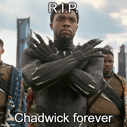 Wakanda Forever | R.I.P. Chadwick forever | image tagged in wakanda forever | made w/ Imgflip meme maker