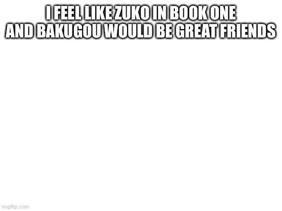 True | I FEEL LIKE ZUKO IN BOOK ONE AND BAKUGOU WOULD BE GREAT FRIENDS | image tagged in blank white template | made w/ Imgflip meme maker