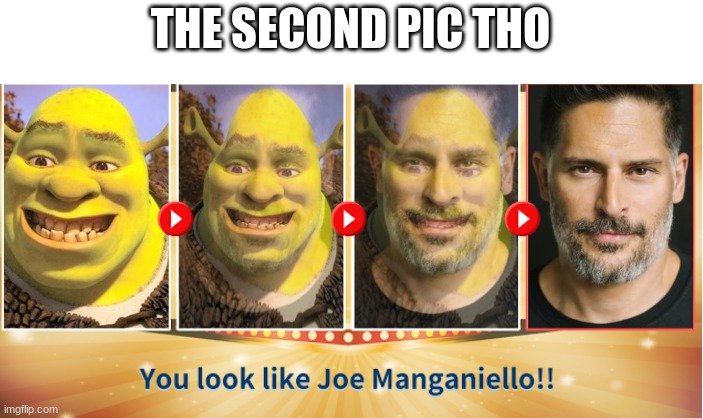 THE SECOND PIC THO | image tagged in shrek | made w/ Imgflip meme maker