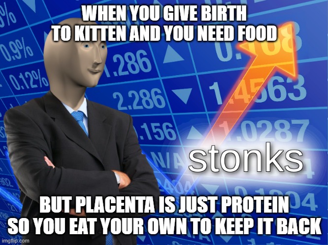 CatsGiveBirth | WHEN YOU GIVE BIRTH TO KITTEN AND YOU NEED FOOD; BUT PLACENTA IS JUST PROTEIN SO YOU EAT YOUR OWN TO KEEP IT BACK | image tagged in stonks | made w/ Imgflip meme maker