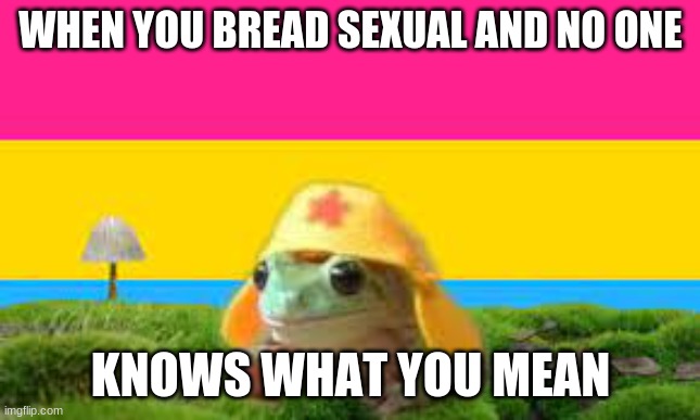 im breadsexual now :D | WHEN YOU BREAD SEXUAL AND NO ONE; KNOWS WHAT YOU MEAN | image tagged in bread sexual | made w/ Imgflip meme maker
