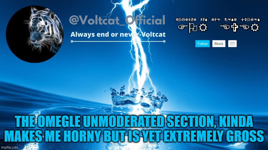 like i saw at least 20 d***s honestly | THE OMEGLE UNMODERATED SECTION, KINDA MAKES ME HORNY BUT IS YET EXTREMELY GROSS | image tagged in voltcat new template | made w/ Imgflip meme maker