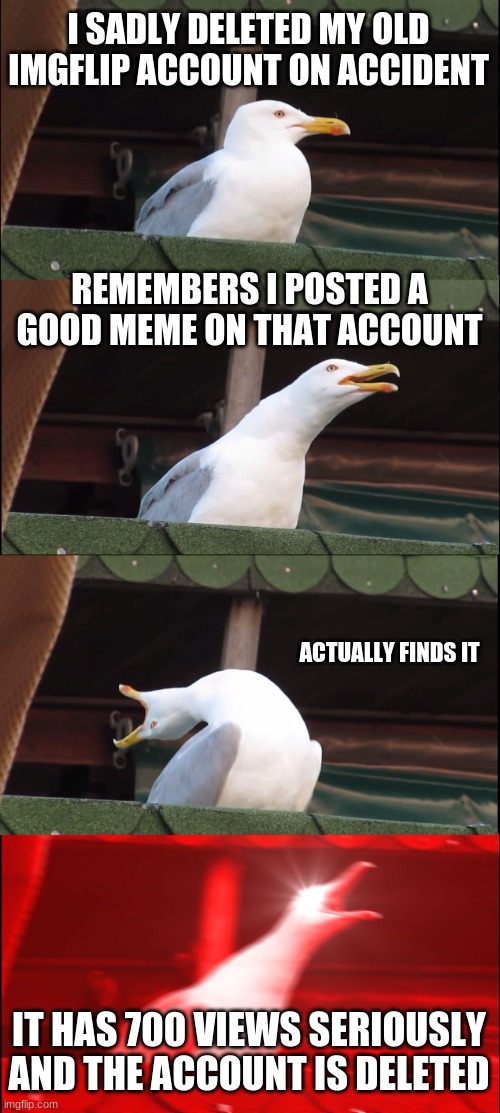 This actually happened to me. I am posting this on my new account. My old account was called Another_Imgflip_Account and it actu | I SADLY DELETED MY OLD IMGFLIP ACCOUNT ON ACCIDENT; REMEMBERS I POSTED A GOOD MEME ON THAT ACCOUNT; ACTUALLY FINDS IT; IT HAS 700 VIEWS SERIOUSLY AND THE ACCOUNT IS DELETED | image tagged in memes,inhaling seagull | made w/ Imgflip meme maker