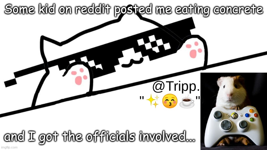 SKA SKRRR | Some kid on reddit posted me eating concrete; and I got the officials involved... | image tagged in tripp 's very awesome temp d,skrrr,ah ha ha | made w/ Imgflip meme maker