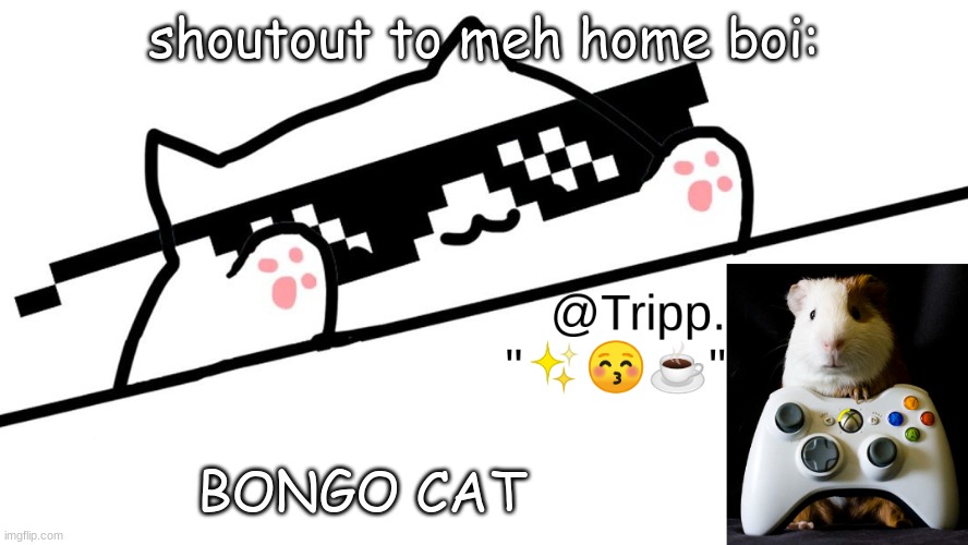 BONGO CAT is kool just like CATBUG | shoutout to meh home boi:; BONGO CAT | image tagged in tripp 's very awesome temp d,skrrr | made w/ Imgflip meme maker