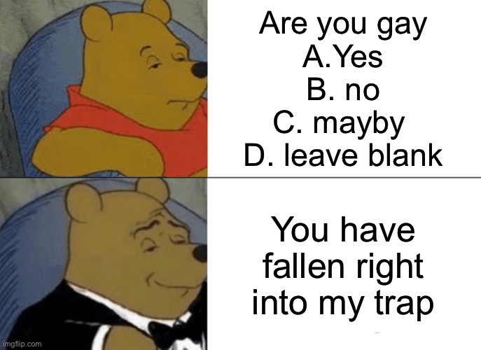 Tuxedo Winnie The Pooh | Are you gay

A.Yes
B. no
C. mayby 
D. leave blank; You have fallen right into my trap | image tagged in memes,tuxedo winnie the pooh | made w/ Imgflip meme maker