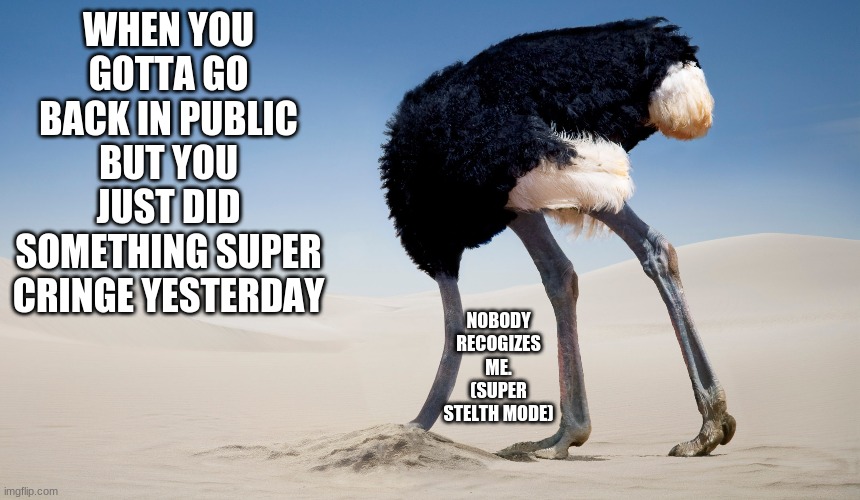 Ostrich |  WHEN YOU GOTTA GO BACK IN PUBLIC BUT YOU JUST DID SOMETHING SUPER CRINGE YESTERDAY; NOBODY RECOGNIZES ME. (SUPER STEALTH MODE) | image tagged in funny,memes,ostrich | made w/ Imgflip meme maker