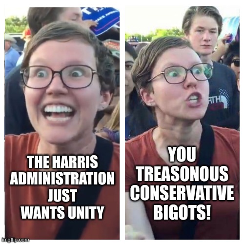 you catch more flies with..... | YOU TREASONOUS CONSERVATIVE BIGOTS! THE HARRIS ADMINISTRATION JUST WANTS UNITY | image tagged in social justice warrior hypocrisy | made w/ Imgflip meme maker