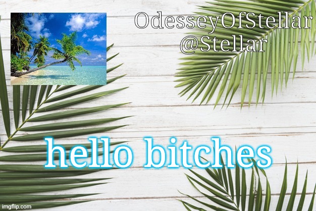 palms | hello bitches | image tagged in palms | made w/ Imgflip meme maker