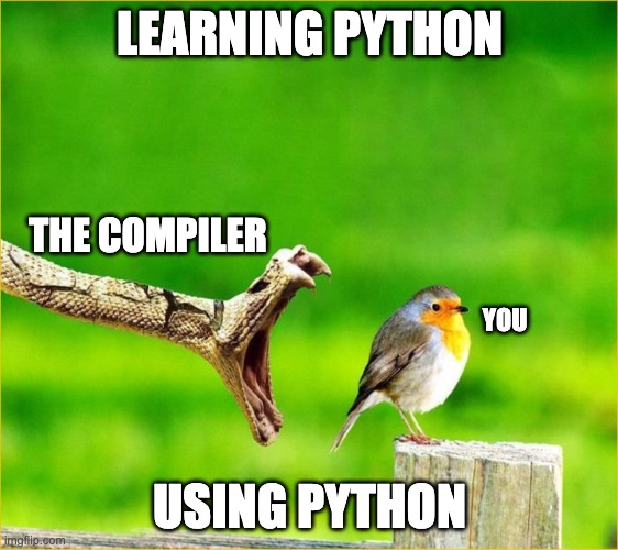 Python. Literally | LEARNING PYTHON; THE COMPILER; YOU; USING PYTHON | image tagged in snake reality bites,coding | made w/ Imgflip meme maker