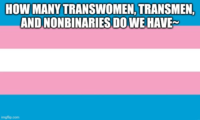 Transgender Flag | HOW MANY TRANSWOMEN, TRANSMEN, AND NONBINARIES DO WE HAVE~ | image tagged in transgender flag | made w/ Imgflip meme maker