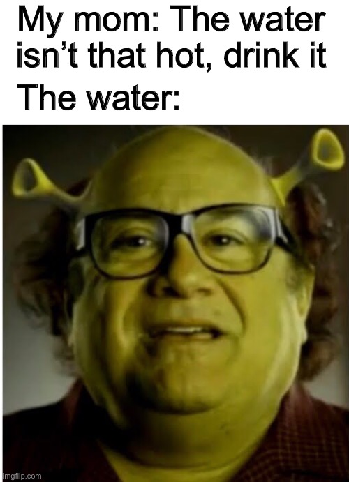 Shrek x Danny devito | My mom: The water isn’t that hot, drink it; The water: | image tagged in shrek x danny devito,shrek,hot,sexy,danny devito,stop reading the tags | made w/ Imgflip meme maker
