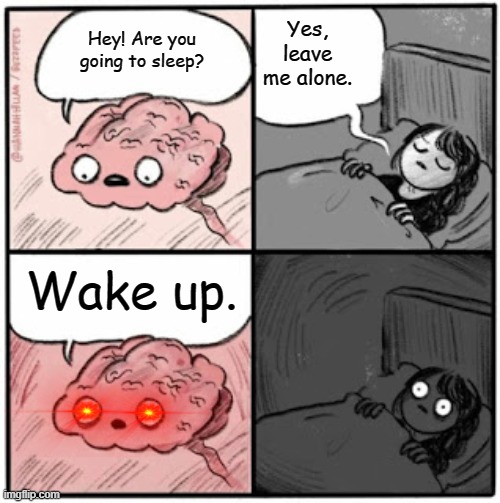 Going to sleep will always be like... | Yes, leave me alone. Hey! Are you going to sleep? Wake up. | image tagged in brain before sleep | made w/ Imgflip meme maker