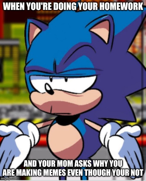 Sonic Bruh | WHEN YOU'RE DOING YOUR HOMEWORK; AND YOUR MOM ASKS WHY YOU ARE MAKING MEMES EVEN THOUGH YOUR NOT | image tagged in sonic bruh | made w/ Imgflip meme maker