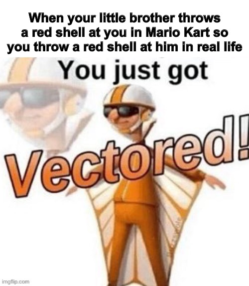 Mario Kart in a nutshell | When your little brother throws a red shell at you in Mario Kart so you throw a red shell at him in real life | image tagged in you just got vectored | made w/ Imgflip meme maker