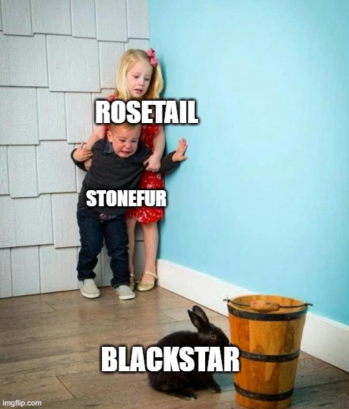 Children scared of rabbit | ROSETAIL; STONEFUR; BLACKSTAR | image tagged in children scared of rabbit | made w/ Imgflip meme maker