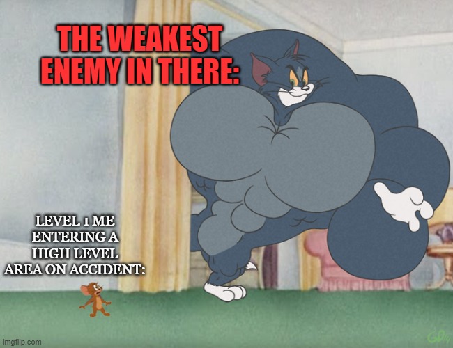 Gaming meme | THE WEAKEST ENEMY IN THERE:; LEVEL 1 ME ENTERING A HIGH LEVEL AREA ON ACCIDENT: | image tagged in buff tom and jerry meme template,memes,funny,gaming,skyrim | made w/ Imgflip meme maker