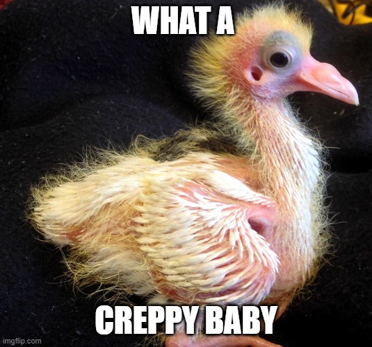 creppy | WHAT A; CREPPY BABY | image tagged in funny | made w/ Imgflip meme maker