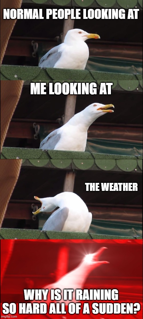 Inhaling Seagull Meme | NORMAL PEOPLE LOOKING AT; ME LOOKING AT; THE WEATHER; WHY IS IT RAINING SO HARD ALL OF A SUDDEN? | image tagged in memes,inhaling seagull | made w/ Imgflip meme maker