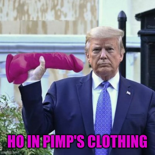 trump With Dildo | HO IN PIMP'S CLOTHING | image tagged in trump with dildo | made w/ Imgflip meme maker