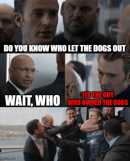 who? | DO YOU KNOW WHO LET THE DOGS OUT; WAIT, WHO; ITS THE GUY WHO OWNED THE DOGS | image tagged in captain america elevator fight | made w/ Imgflip meme maker