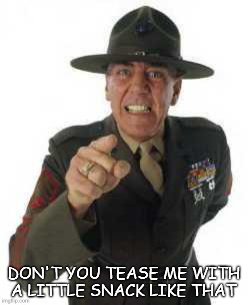 marine drill | DON'T YOU TEASE ME WITH A LITTLE SNACK LIKE THAT | image tagged in marine drill | made w/ Imgflip meme maker