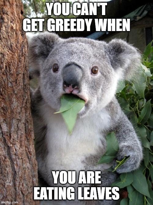 CAN'T GET GREEDY | YOU CAN'T GET GREEDY WHEN; YOU ARE EATING LEAVES | image tagged in memes,surprised koala | made w/ Imgflip meme maker