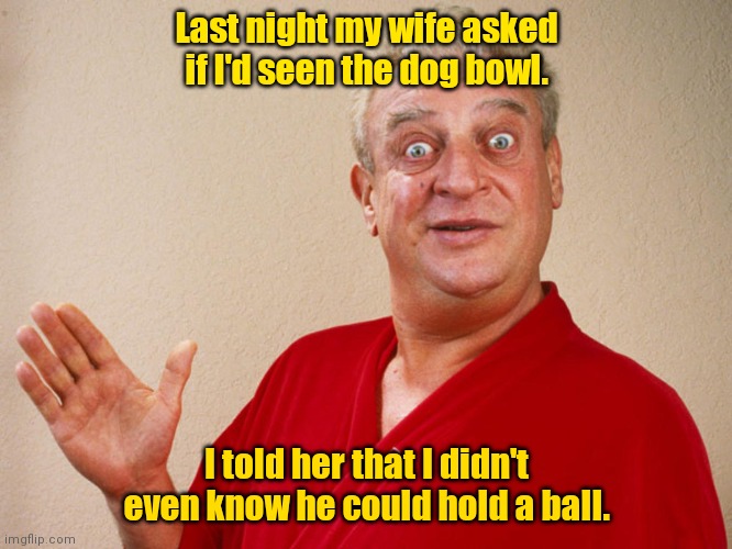 The dog is very active. | Last night my wife asked if I'd seen the dog bowl. I told her that I didn't even know he could hold a ball. | image tagged in rodney dangerfield,funny | made w/ Imgflip meme maker