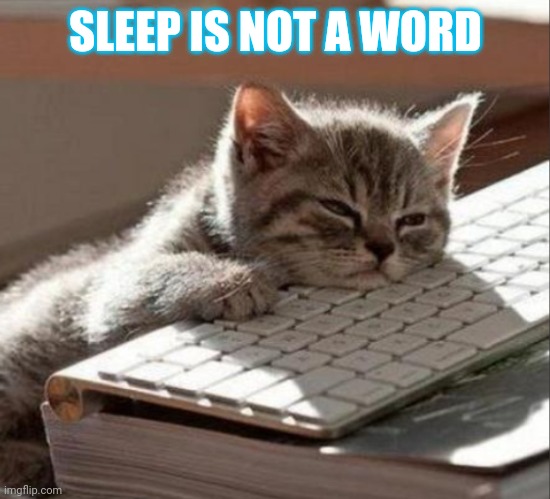 Hah | SLEEP IS NOT A WORD | image tagged in sleep cat | made w/ Imgflip meme maker