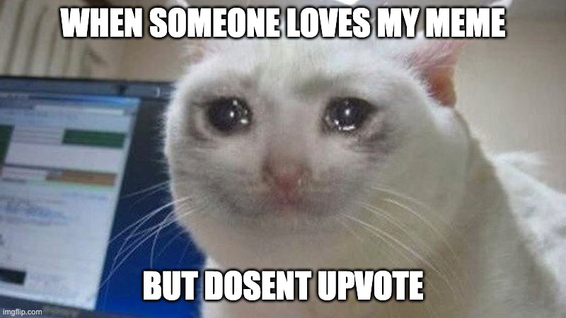 when you don't upvote my meme | WHEN SOMEONE LOVES MY MEME; BUT DOSENT UPVOTE | image tagged in cats,crying cat,funny,upvotes | made w/ Imgflip meme maker