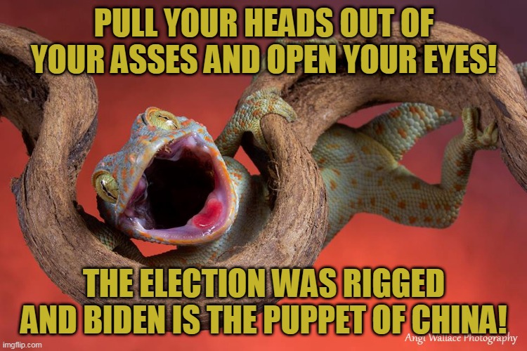 A Friendly Reminder In The Form Of Truth. | PULL YOUR HEADS OUT OF YOUR ASSES AND OPEN YOUR EYES! THE ELECTION WAS RIGGED AND BIDEN IS THE PUPPET OF CHINA! | image tagged in memes,rigged elections,election 2020,joe biden,biden,china | made w/ Imgflip meme maker