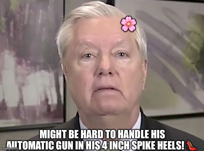Miss Lindsey Graham Says She Could Shoot Gangs With Her AR-15! | 🌸; MIGHT BE HARD TO HANDLE HIS AUTOMATIC GUN IN HIS 4 INCH SPIKE HEELS! 👠 | image tagged in lindsey graham,closeted gay,gay douchebag,panty waste,trump sycophant,spineless | made w/ Imgflip meme maker