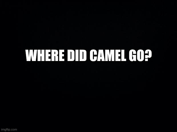 CAAAAMEEEEELLLL, WHERE ARE YOU?! | WHERE DID CAMEL GO? | image tagged in camel where are you | made w/ Imgflip meme maker