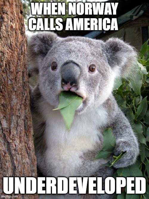 shocked koala | WHEN NORWAY CALLS AMERICA; UNDERDEVELOPED | image tagged in memes,surprised koala | made w/ Imgflip meme maker