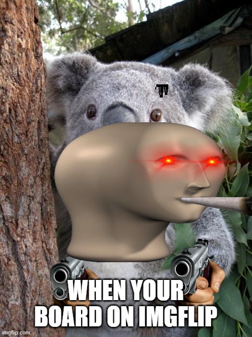 board on imgflip | WHEN YOUR BOARD ON IMGFLIP | image tagged in memes,surprised koala | made w/ Imgflip meme maker