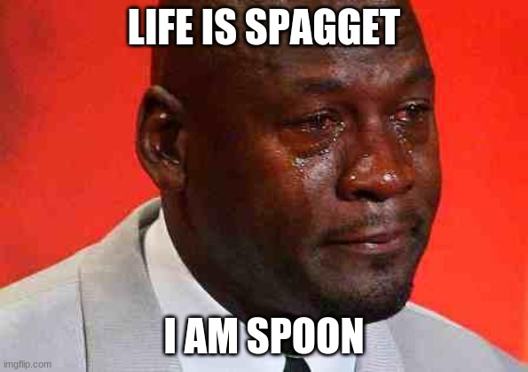 crying michael jordan | LIFE IS SPAGGET I AM SPOON | image tagged in crying michael jordan | made w/ Imgflip meme maker
