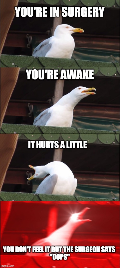 Inhaling Seagull | YOU'RE IN SURGERY; YOU'RE AWAKE; IT HURTS A LITTLE; YOU DON'T FEEL IT BUT THE SURGEON SAYS 
"OOPS" | image tagged in memes,inhaling seagull | made w/ Imgflip meme maker