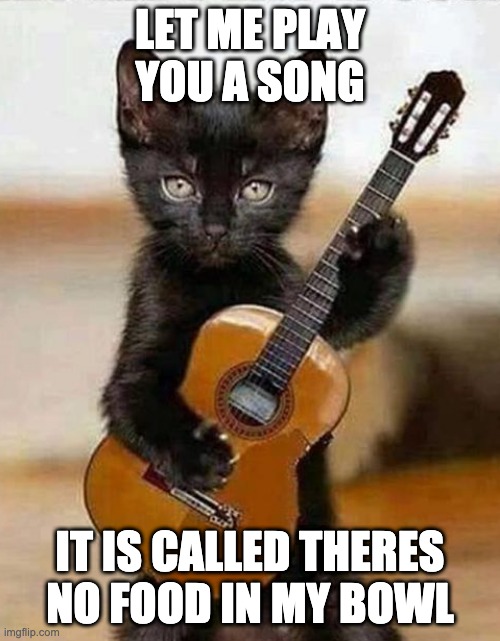 cat is hungry | LET ME PLAY YOU A SONG; IT IS CALLED THERES NO FOOD IN MY BOWL | image tagged in cats,funny cats,cool cat,lol cats | made w/ Imgflip meme maker