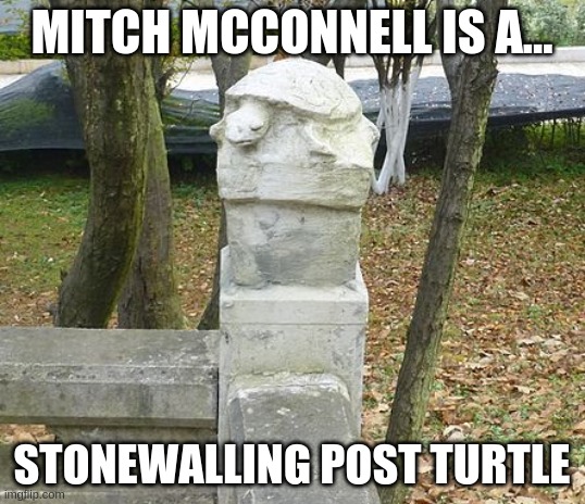 Mitch McTurdle | MITCH MCCONNELL IS A... STONEWALLING POST TURTLE | image tagged in mitch mcconnell | made w/ Imgflip meme maker